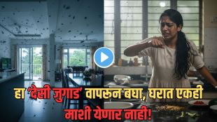 how to get rid of flies in rainy season