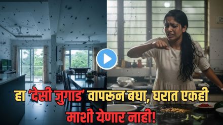 how to get rid of flies in rainy season