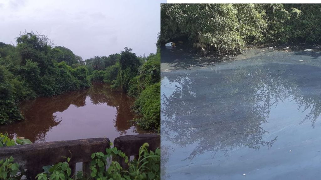 chemical discharge turns paneri stream red mpcb launches inspection in palghar