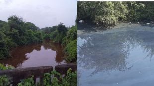 chemical discharge turns paneri stream red mpcb launches inspection in palghar