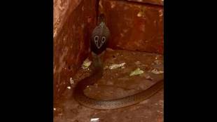 arrival of the Nagaraja at the doorstep on the day of Nag Panchami