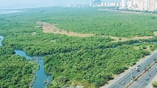 CIDCO sells open plots for lands in Navi Mumbai