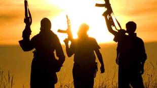 New law for Naxalites BJP Urban Naxals Public Safety Act