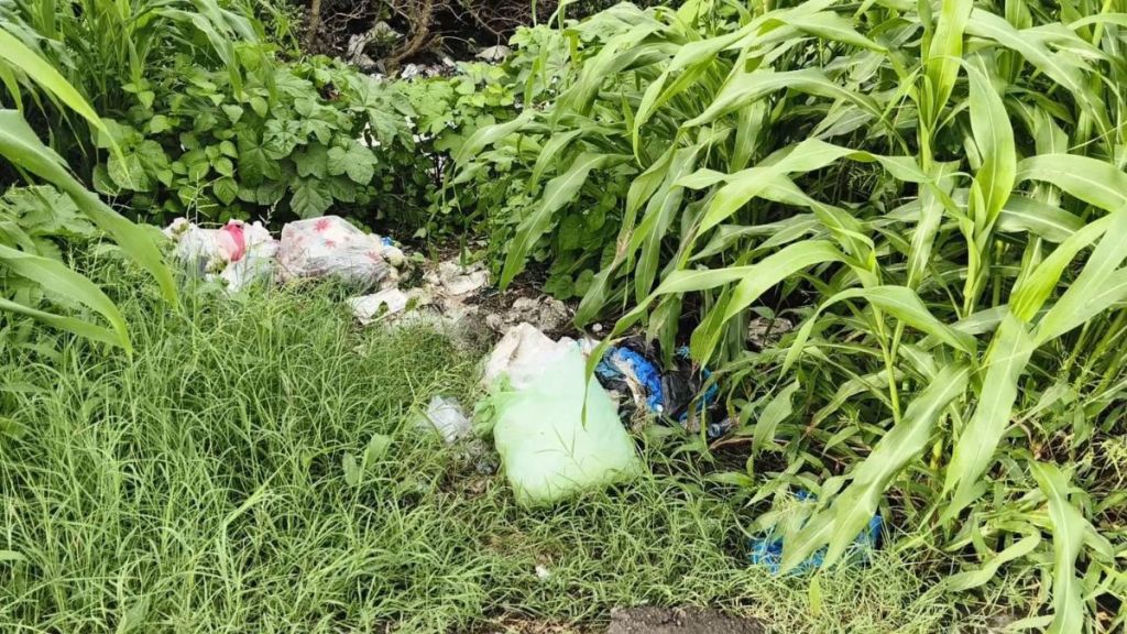 vasai newborn baby girl found in plastic bag at kalamb child abandonment
