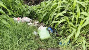 vasai newborn baby girl found in plastic bag at kalamb child abandonment