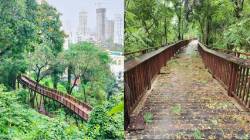 निसर्ग उन्नत मार्गाचे तिकिट व्हॉट्सॲपवरूनही काढता येणार
