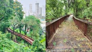 Tickets for the elevated nature trail can also be purchased through WhatsApp