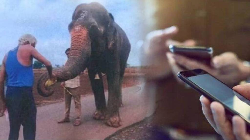 Elephant conflict in Nandani now leads to boycott of mobile phone services