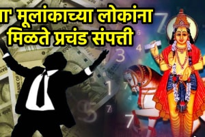 numerology 6 mulank people born on 6 15 24 birth dates are rich wealthy successful career love relationship