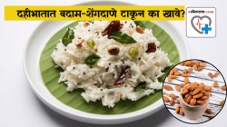 Curd Rice with Almonds: बदाम- शेंगदाणे दहीभातात घालून खाल्यास रक्तातील साखरेची पातळी कमी होते का? जेवणात काजू-बदाम-पिस्ता का खावेत?