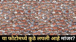 Optical Illusion: खेळा बुद्धीचा डाव! जिंकायचं असेल तर शोधून दाखवा फोटोत लपलेली मांजर; तुम्ही तिला शोधू शकता का?