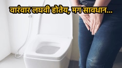 तुम्हाला वारंवार लघवी होतेय? मग त्यामागे असू शकतं ‘हे’ गंभीर कारण; तज्ज्ञ सांगतात, ”आजार किंवा संसर्ग…”