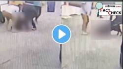 भयंकर! पिटबुलचा जीवघेणा हल्ला, चिमुकल्याचे तोडले लचके, भररस्त्यावर थरार; Video नेमका कुठला?