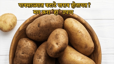 आता पावसाळ्यात बटाटे सडणार नाहीत; ‘या’ पद्धतीने साठवाल तर महिनाभर राहतील फ्रेश…