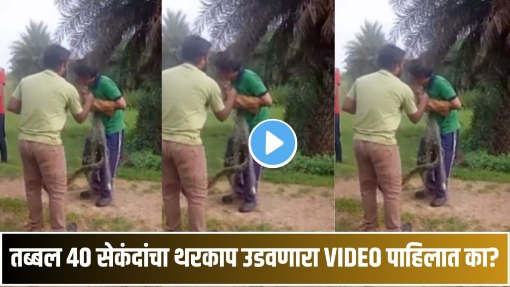 dangerous snake rescue gone wrong