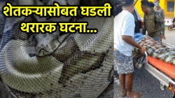 शेतकऱ्यांनो शेतात जाताना सावधान! शेतात काम करता करता शेतकरी अचानक झाला गायब, खरं कारण कळताच गावकऱ्यांना बसला धक्का