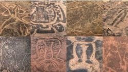 राजापुर बारसू येथील कातळ शिल्पे जतन करण्याचे उच्च न्यायालयाचे शासनाला आदेश