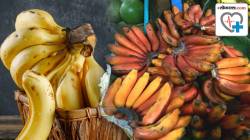 Red Or Yellow Banana: लाल आणि पिवळ्या केळ्यात फरक काय? कोणतं केळं जास्त पौष्टिक, तुम्ही कशाची करावी निवड? डॉक्टरांकडून जाणून घ्या