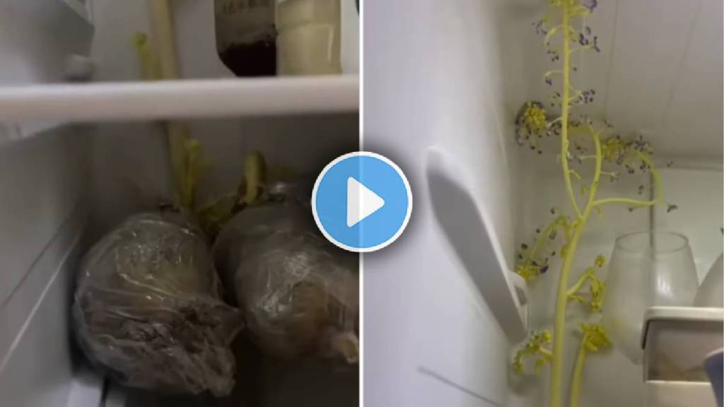 fridge viral video