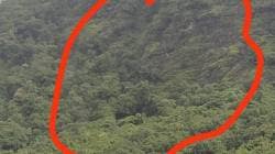 दोडामार्ग कसईनाथ डोंगरावरील भलेमोठे दगड कोसळले