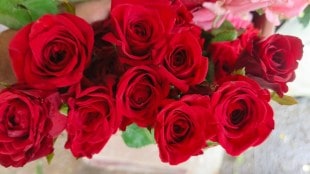 Price of rose petals increased on the occasion of Guru Purnima 2025