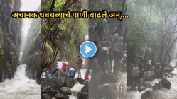 धो धो पाऊस अन् खळखळ वाहणारे पाणी! सातसडा धबधब्यावर अडकले १०-१५ जण; पुढे काय घडलं? थरारक Video Viral
