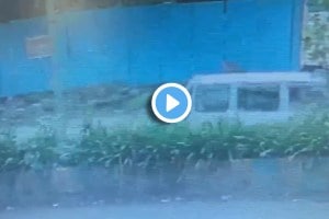 School students fall from speeding van in Ambernath news