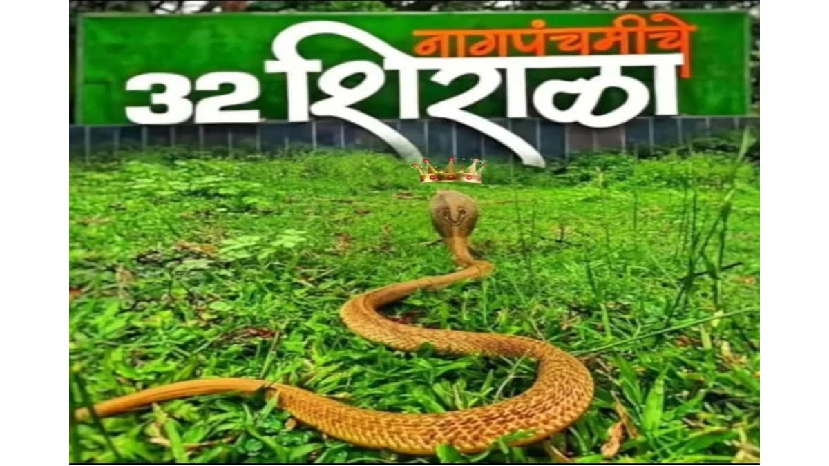 बत्तीस शिराळ्यात नाग हाताळण्यास मर्यादित परवानगी…
