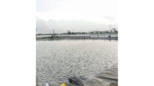 shirur farm pond tragedy