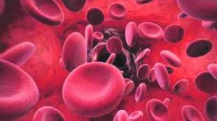 6 crore citizens screened for sickle cell disease under the National Sickle Cell Anemia Eradication Mission Mumbai print news