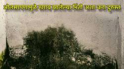 पावसाळ्यात ओलसरपणामुळे घराच्या भिंती खराब झाल्यात? मग फॉलो करा ‘या’ ४ स्मार्ट टिप्स
