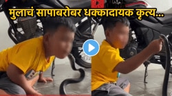 ”अरेरे, जीव जाईल त्याचा…”, जिवंत सापाला थेट तोंडाजवळ घेतलं अन्…, मुलाचा धक्कादायक VIDEO व्हायरल