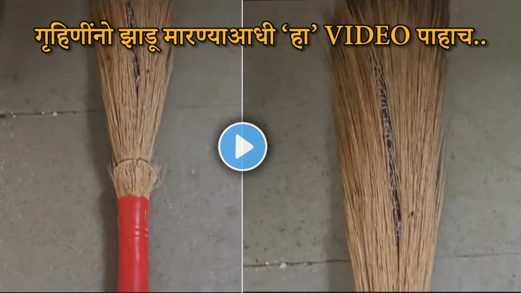 Snake video snake in broom in rainy season shocking viral video on social media