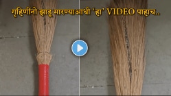 महिलांनो पावसाळ्यात घरी काम करताना थोडं सांभाळून…, यामागचं कारण ऐकून धक्काच बसेल, व्हायरल VIDEO एकदा पाहाच