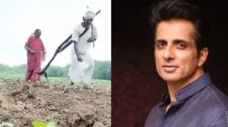 वृद्ध शेतकरी जोडप्याने स्वत:लाच नांगराला जुंपलं; व्हायरल व्हिडीओ पाहून सोनू सूद म्हणाला, “बैल…”