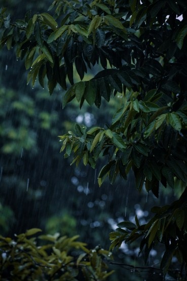monsoon