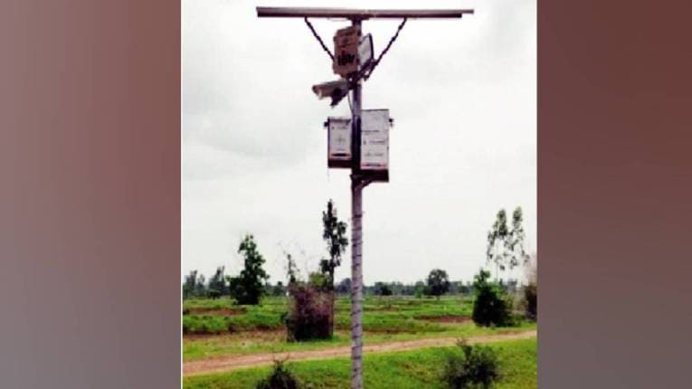 ताडोबा व्याघ्र प्रकल्प परिसरात आभासी भिंत यशस्वी