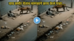 VIDEO: वाघ समोर येताच मध्यरात्री रस्त्यावर बसलेल्या माणसाने लढवली शक्कल, त्याच्या फक्त ‘या’ कृतीने वाघाने त्याला स्पर्शही केला नाही…
