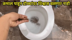टॉयलेटमध्ये चहा पावडर टाकताच कमाल झाली! परिणाम पाहून डोळ्यांवर विश्वास बसणार नाही