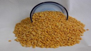 Court big decision, unlicensed toor import case,