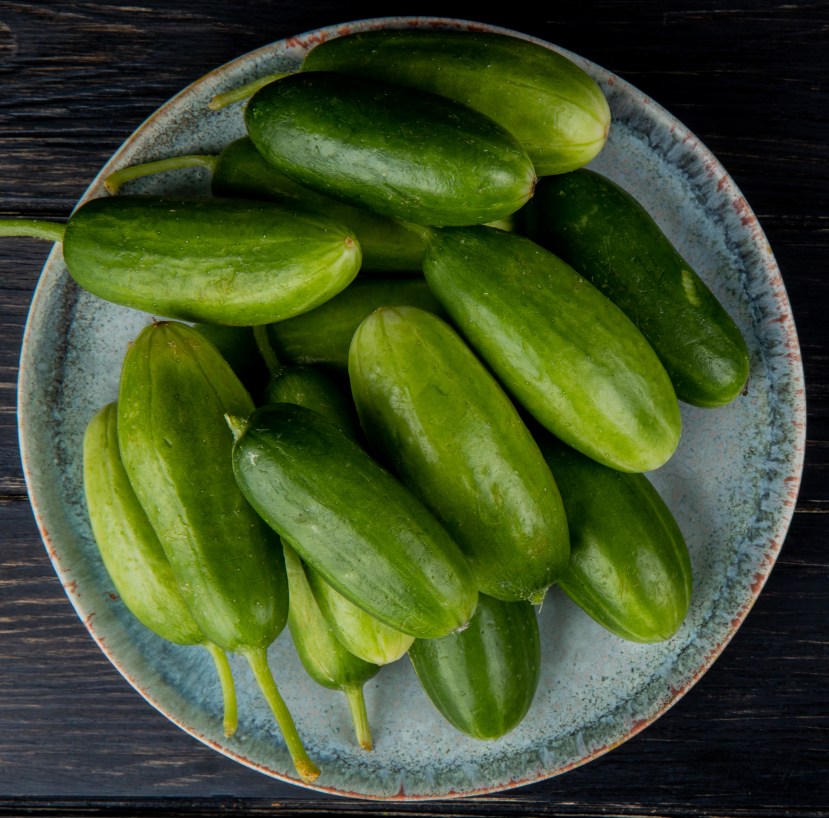 Cucumber | cucumber 