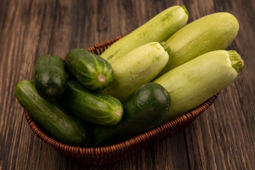 Cucumber | cucumber 