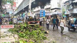 Vasai Municipal corporation cuts trees without civic safety