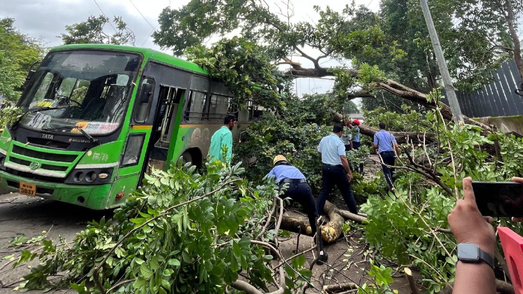 Seven passengers injured after tree falls on PMP near Chinchwad station