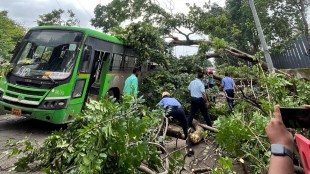 Seven passengers injured after tree falls on PMP near Chinchwad station