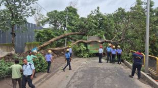 tree falls on pmpml bus in pimpri chinchwad no injuries reported