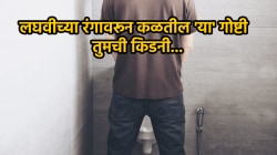 लघवी करताना ‘या’ गोष्टी एकदा बघाच! जर फेस आला तर…, किडनी चांगली की खराब लगेच कळेल