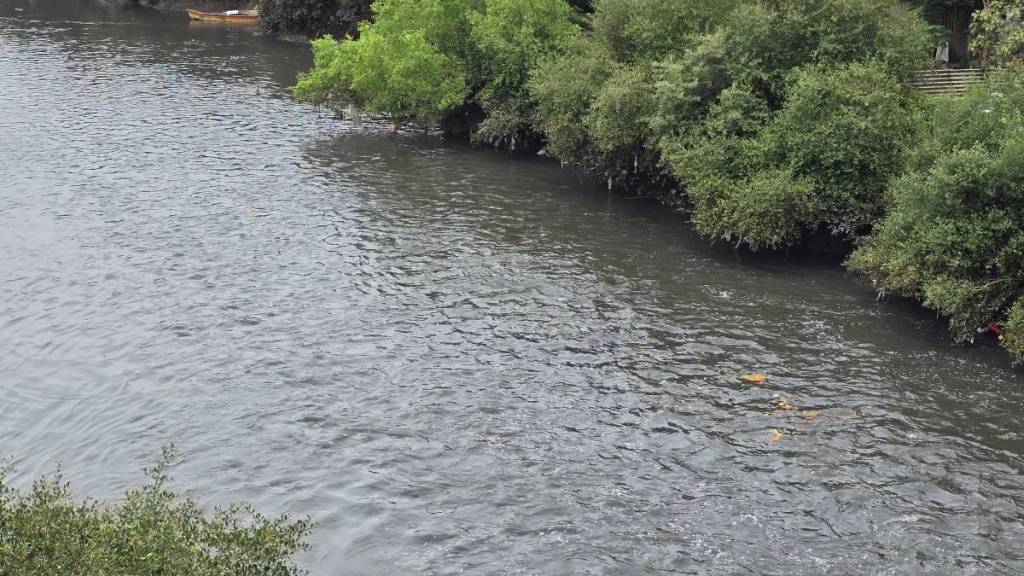 fishing challenges in Vasai Virar creek