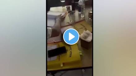 work on government files in a beer bar goes viral Video in nagpur