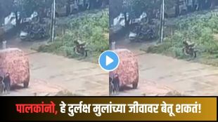 toddler attacked by stray dogs